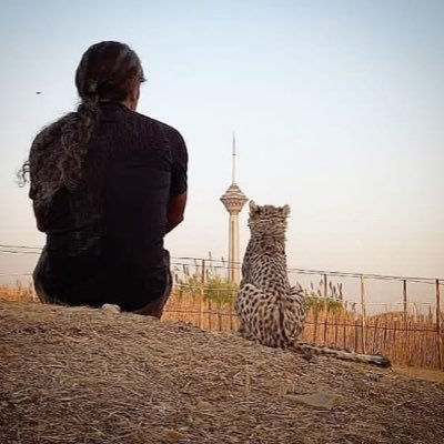 _JackOfClubs_'s profile picture