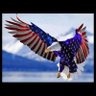 Richard Cusson's profile picture