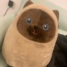 MoveSlowly 的头像