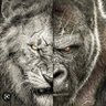 D.I.D 15's profile picture