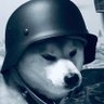 Profilbild von Thomas Zhang