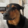 Profilbild von Leo