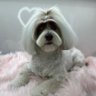 Profilbild von Jackie Dee