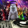 DJ Otter 的头像