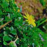 Фото профиля WAH_BAH