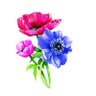 Фото профиля raeva89#JamaisSansZemmour