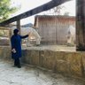 meryrem06's profile picture