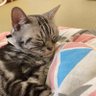 みかど profil fotoğrafı