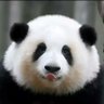 potus74·五星's profile picture