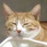 ばたこ 的头像