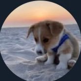 일상다반사's profile picture