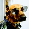 DINGODILE 🐊's profile picture