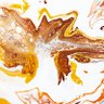 ラプター | ロボコン ビジコン profil fotoğrafı