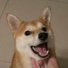 Ctnbeh's profile picture