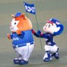 ゼルペスくん🐦's profile picture