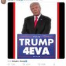 Profilbild von Trump 4EVA (place blue check here)