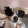 Shri Bawafsenahu profil fotoğrafı