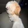 linz profil fotoğrafı