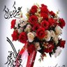 Hossam Hassan 的头像