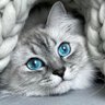 Margot's profile picture