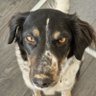 Profilbild von JitBar