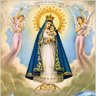 Фото профиля One White Frijole