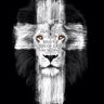 For_The_Crown's profile picture