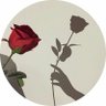 ease profil fotoğrafı