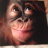 Dan's profile picture