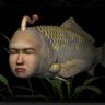 うましか観察魚 的头像