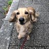 あっと 的头像