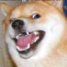 Фото профиля DOGGO SINGH