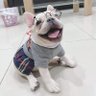 mayyan 的头像
