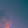 starry ✦ 的头像