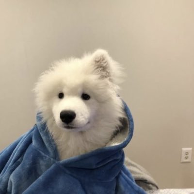 chille 🎄🤍's profile picture