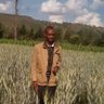 M k wa Gilgil's profile picture