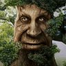 sv1etnama profil fotoğrafı