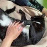 むら profil fotoğrafı