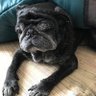 トミー's profile picture