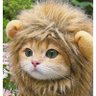 Profilbild von 猫ライオン
