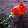 Фото профиля Hélionéas