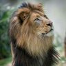 Фото профиля Nadeem Iqbal