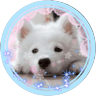 Profilbild von ☆ろっ子☆