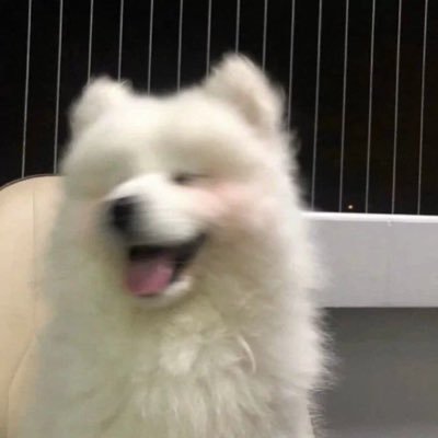 จี จี้ 👅's profile picture