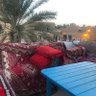 عبدالرحمن عبدالله profil fotoğrafı
