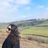 ZenithY profil fotoğrafı