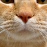 gm profil fotoğrafı