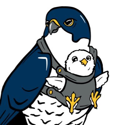 CalFalconCam's profile picture