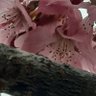 Фото профиля 喜歡內衣褲還有棉棉