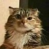 Profilbild von CCDAKU